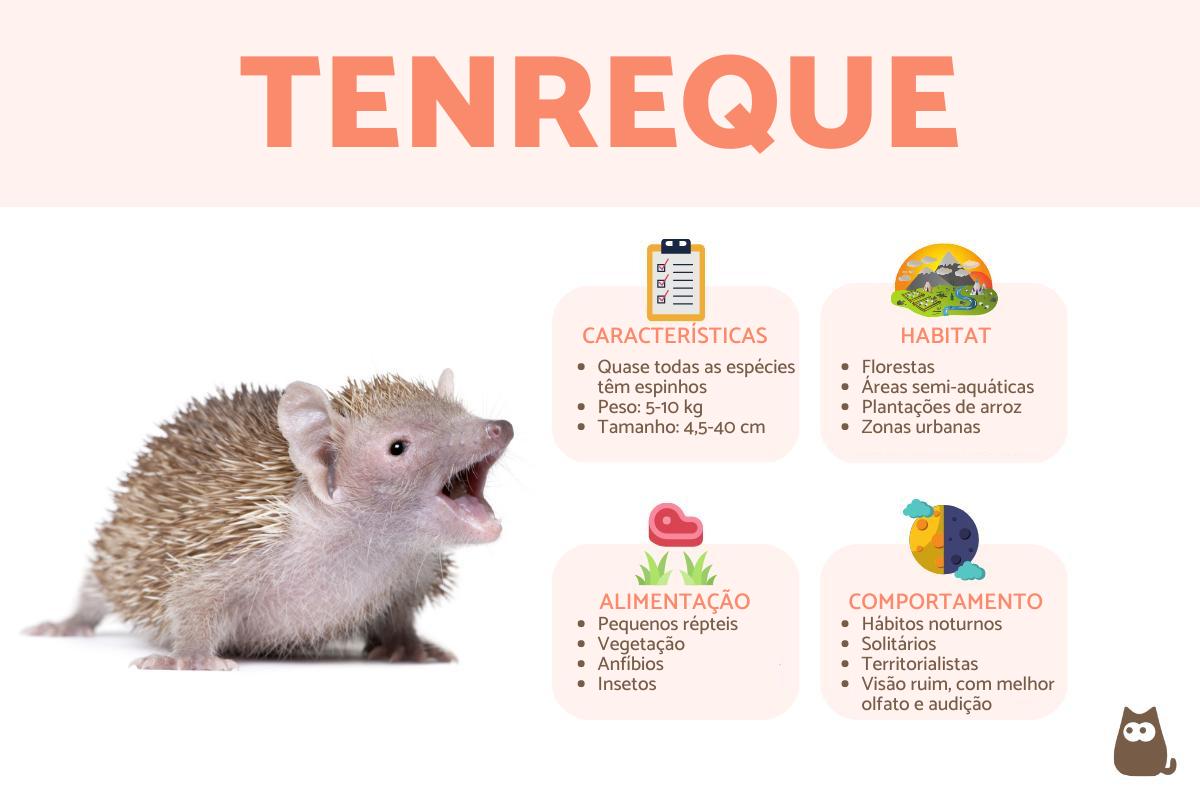 Tenreque - Características, habitat e cuidados