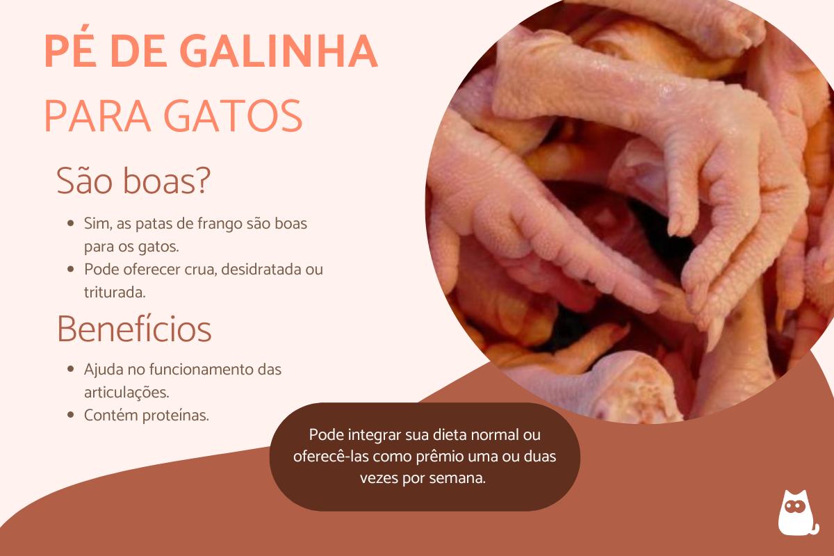 Pode dar pé de galinha para gato?