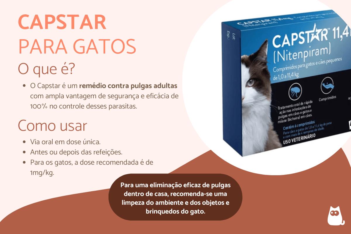 Capstar para gatos - Para que serve, como usar, efeitos colaterais