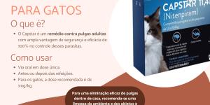Capstar para gatos - Para que serve, como usar, efeitos colaterais