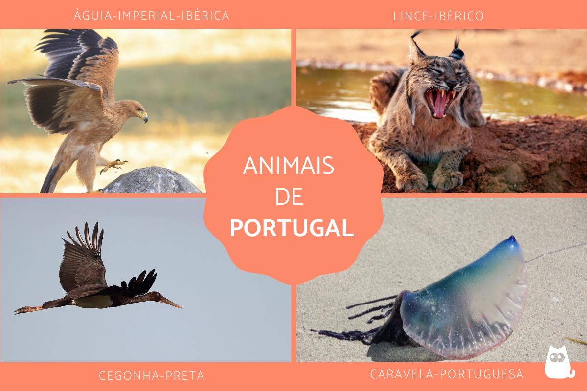Animais de Portugal