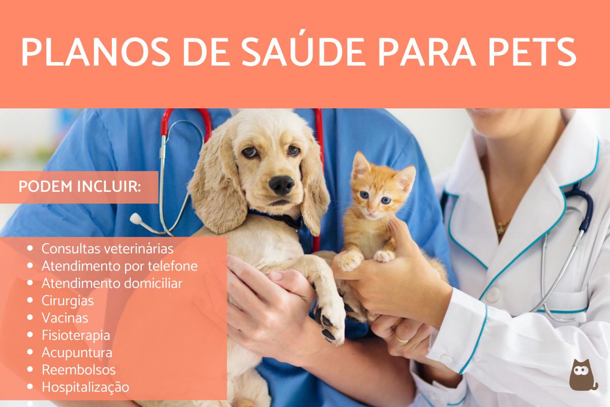 Planos de saúde para pets: tipos e como escolher