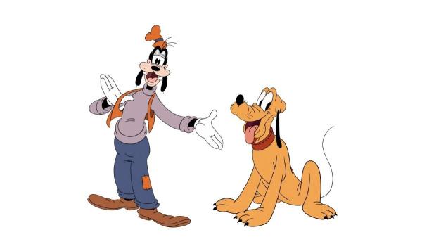 Qual animal é o pateta da Disney? - Diferenças entre o Pateta e o Pluto