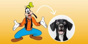Qual animal é o pateta da Disney?