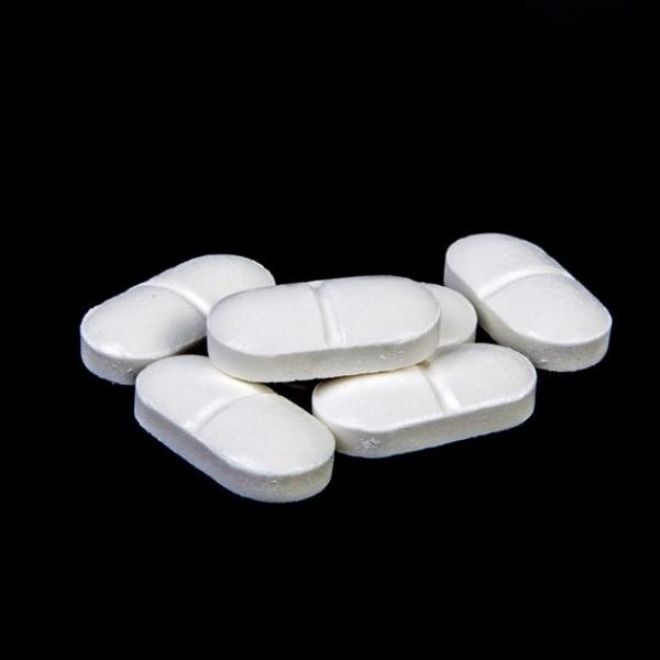 Posso dar paracetamol ao meu gato?