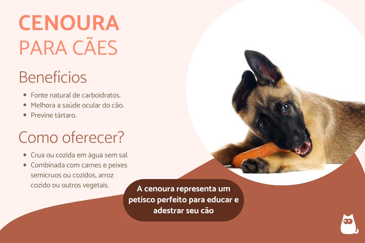 Cachorro pode comer cenoura?