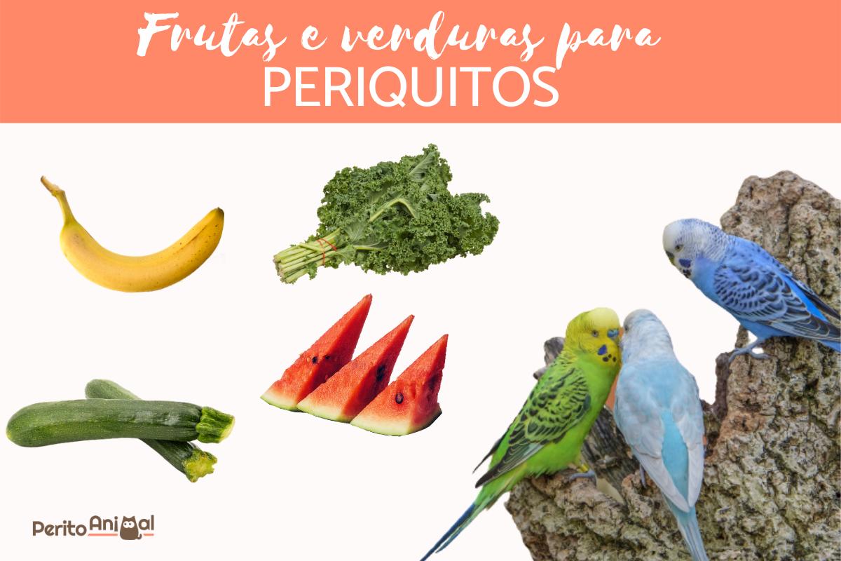 Frutas e verduras para periquitos