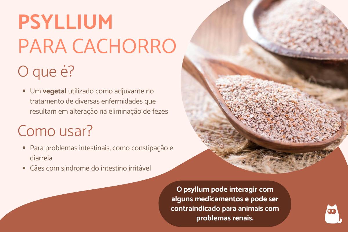 Psyllium para cachorro: para que serve, doses, efeitos colaterais