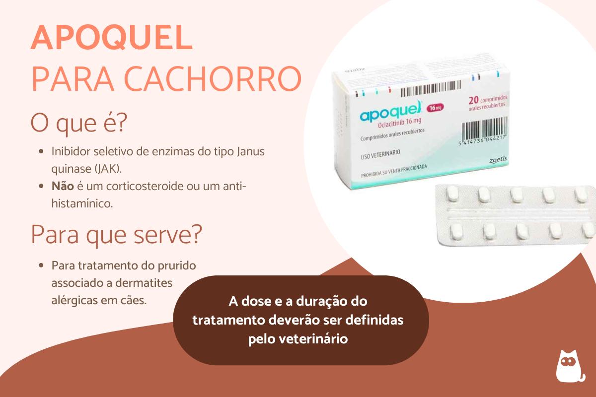 Apoquel para cachorro: para que serve, doses, como usar e efeitos colaterais