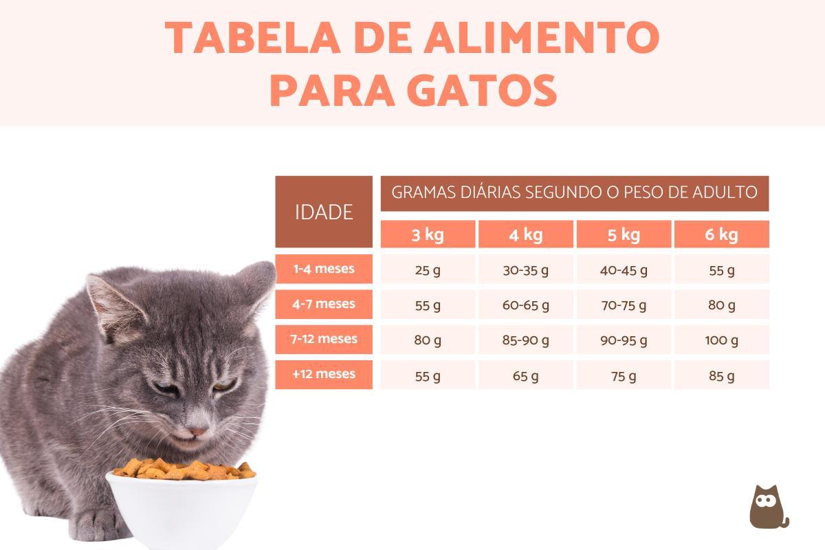 Quantidade de comida para gatos