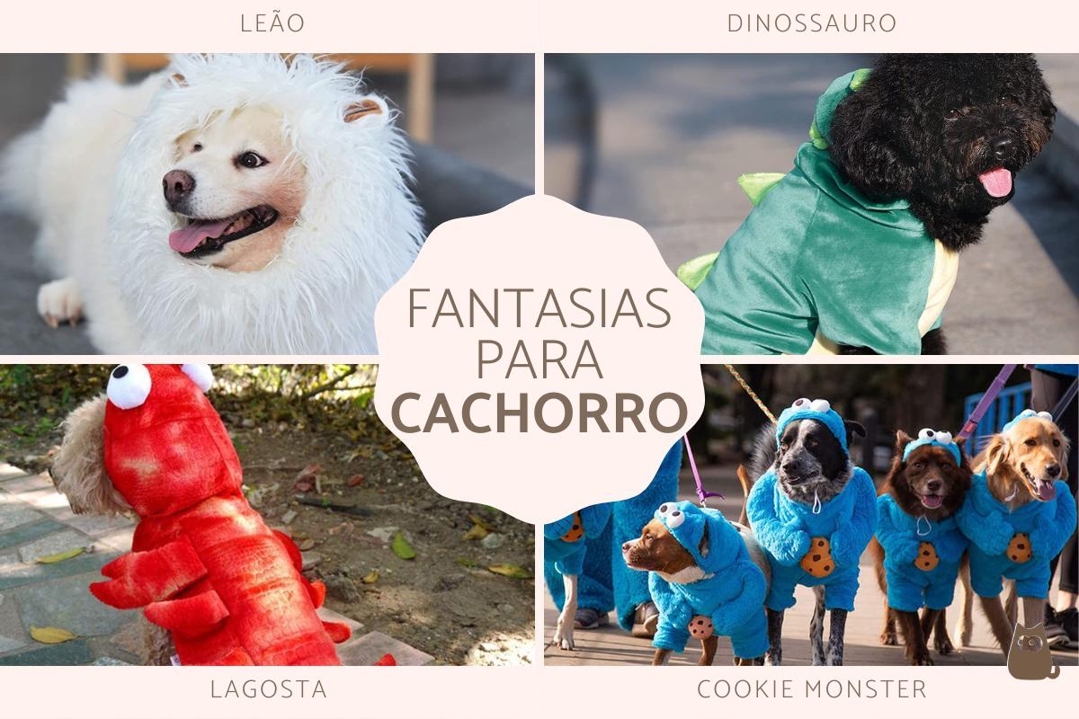Fantasias para cachorros grandes e pequenos