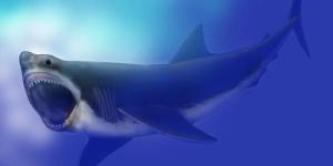 Por que o megalodon foi extinto?