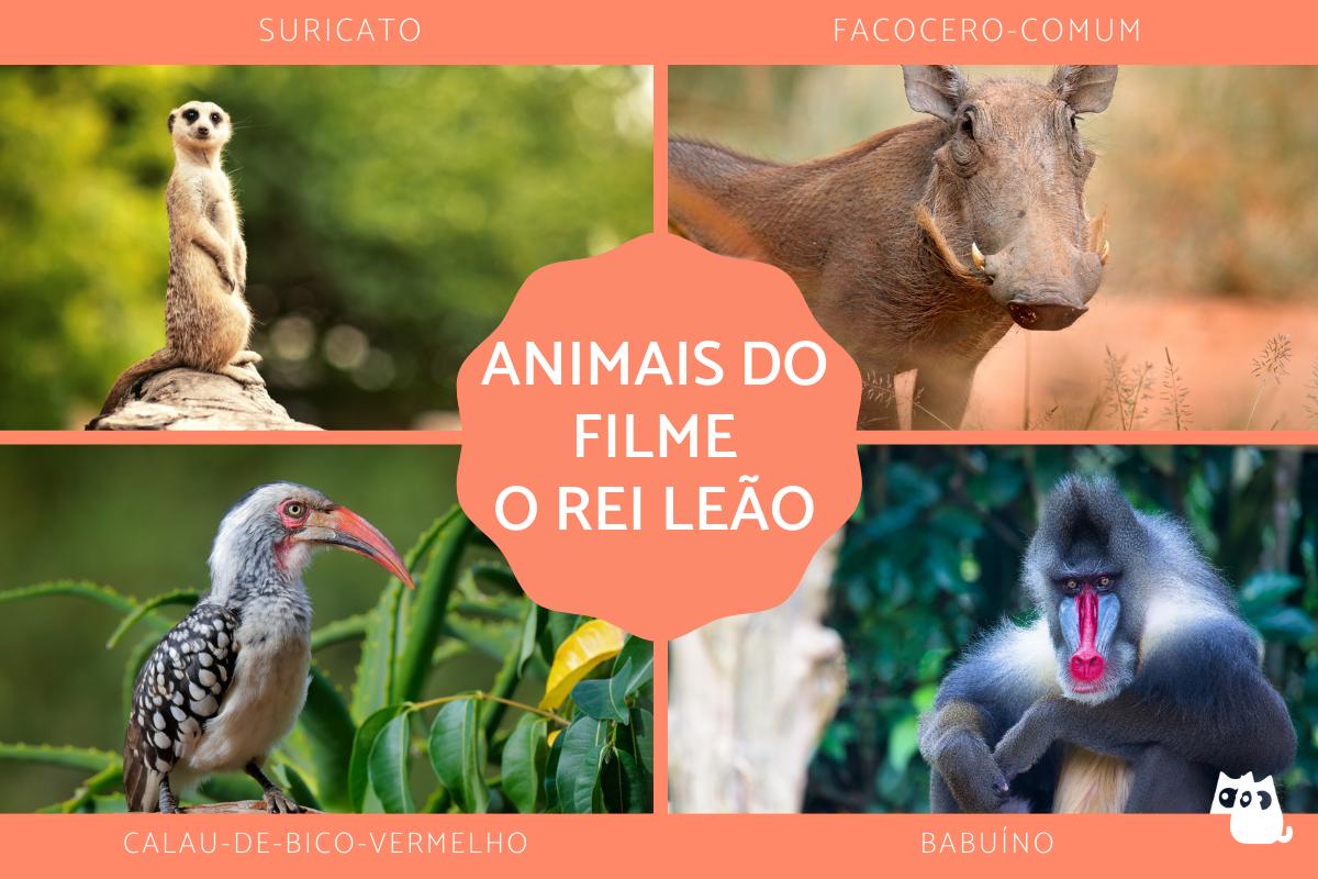 Animais do filme O Rei Leão