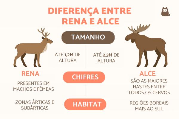 Qual a diferença de uma rena para um alce?