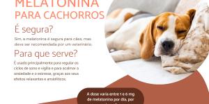 Melatonina para cachorro: doses e usos