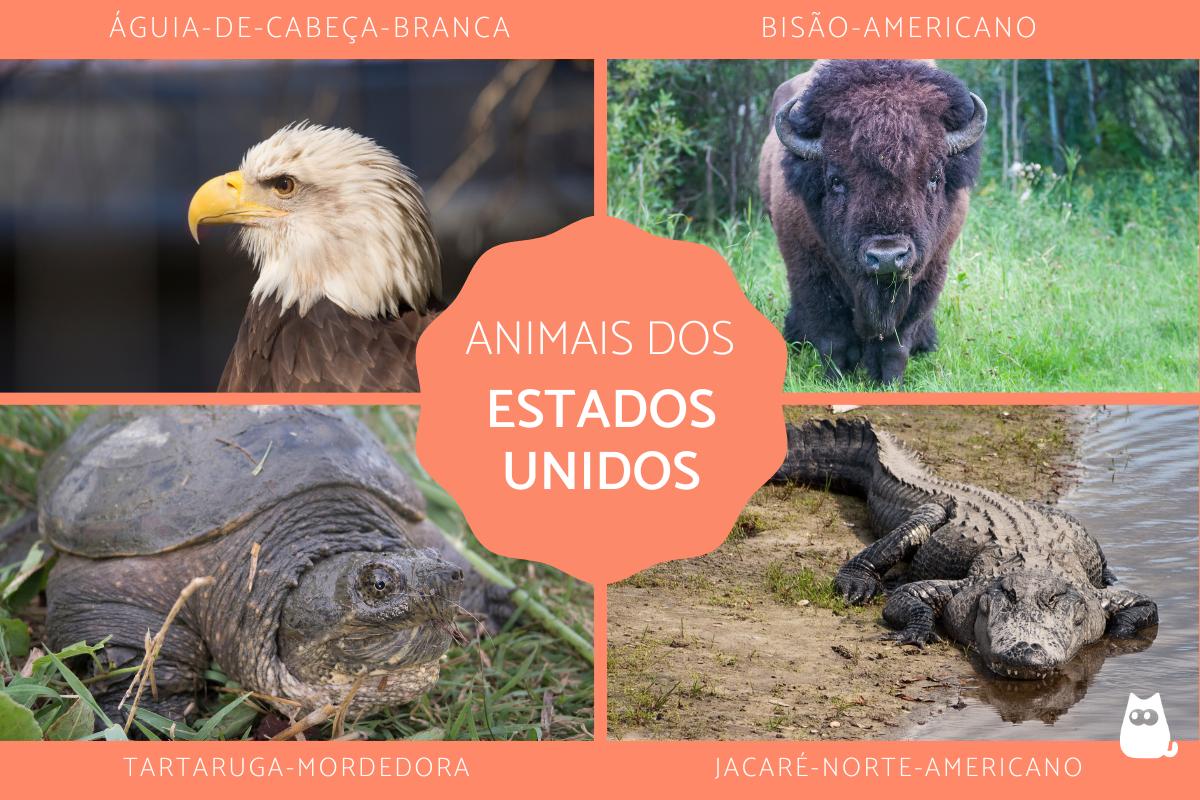 Animais dos Estados Unidos
