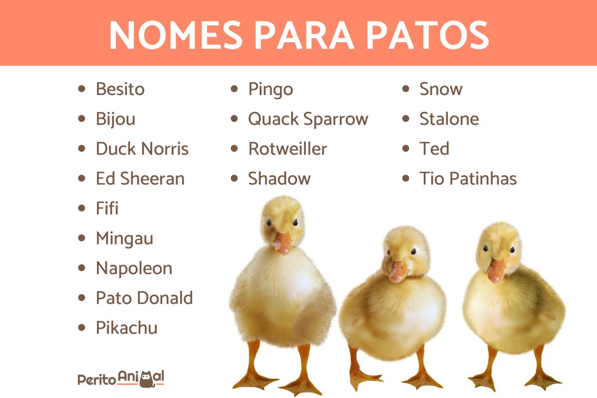 Nomes para patos