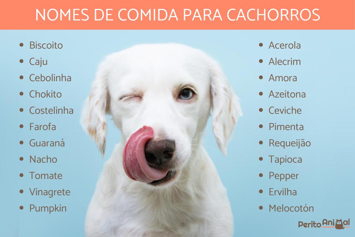 Nomes de comida para cachorros