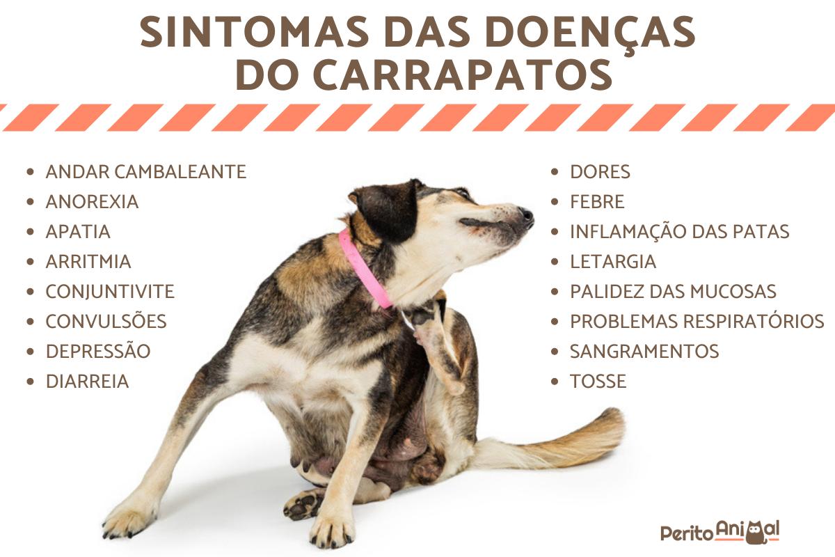 A doença do carrapato tem cura?