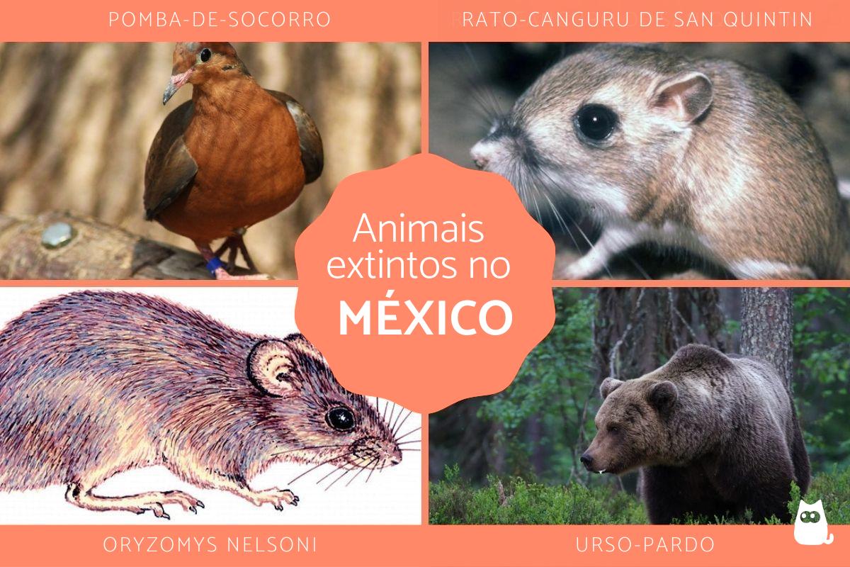 Animais extintos no México