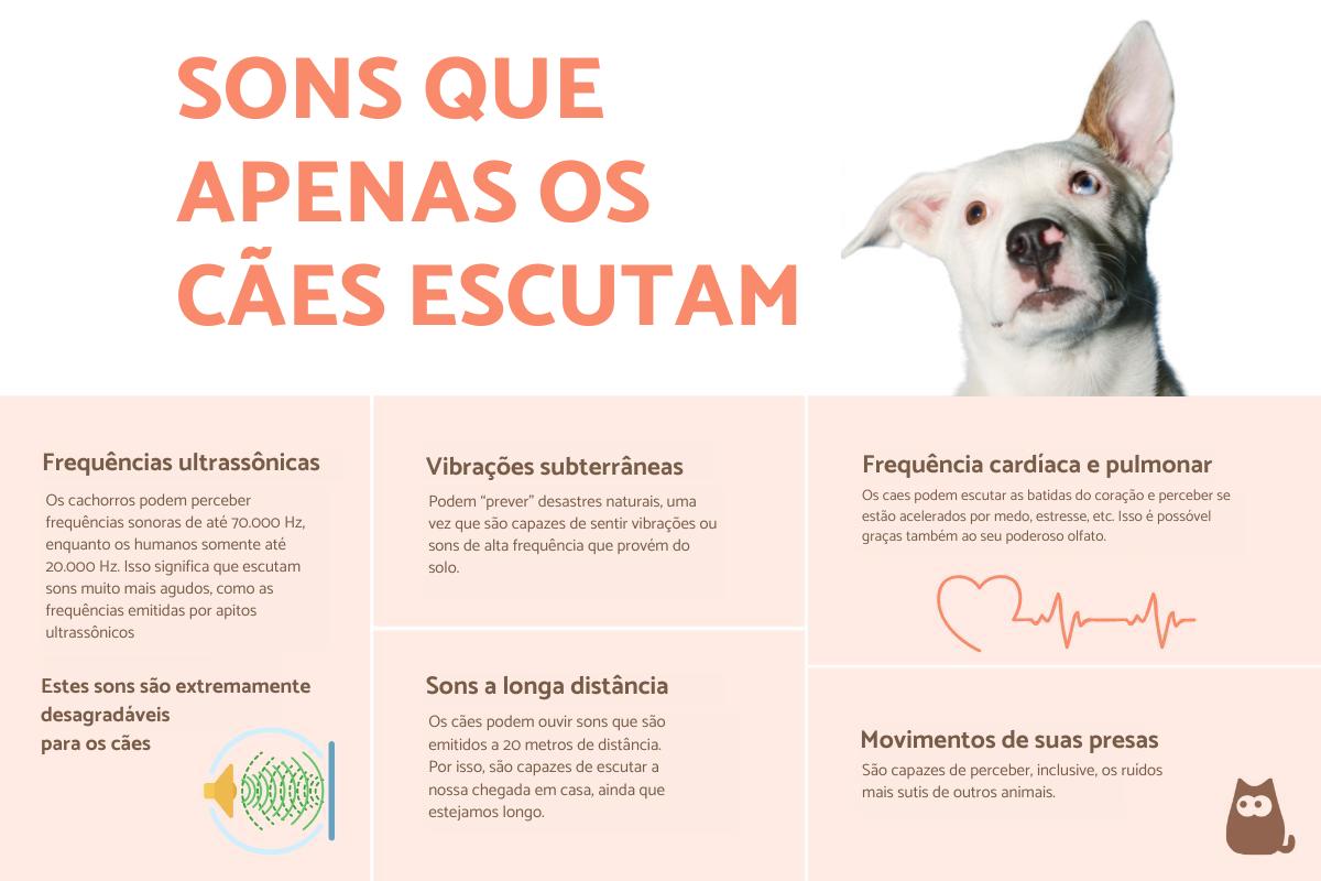 Sons que apenas os cães ouvem
