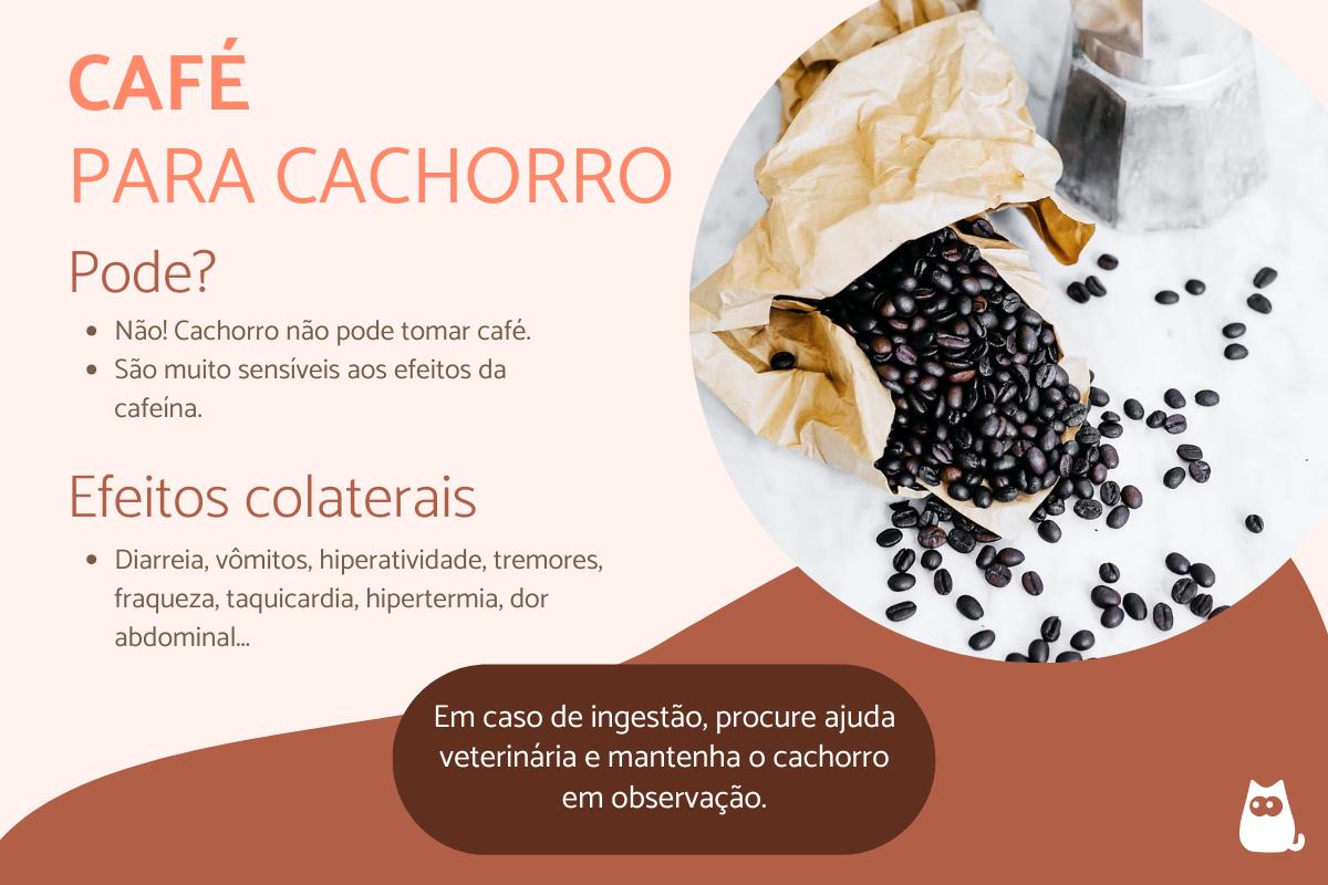 Cachorro pode tomar café?