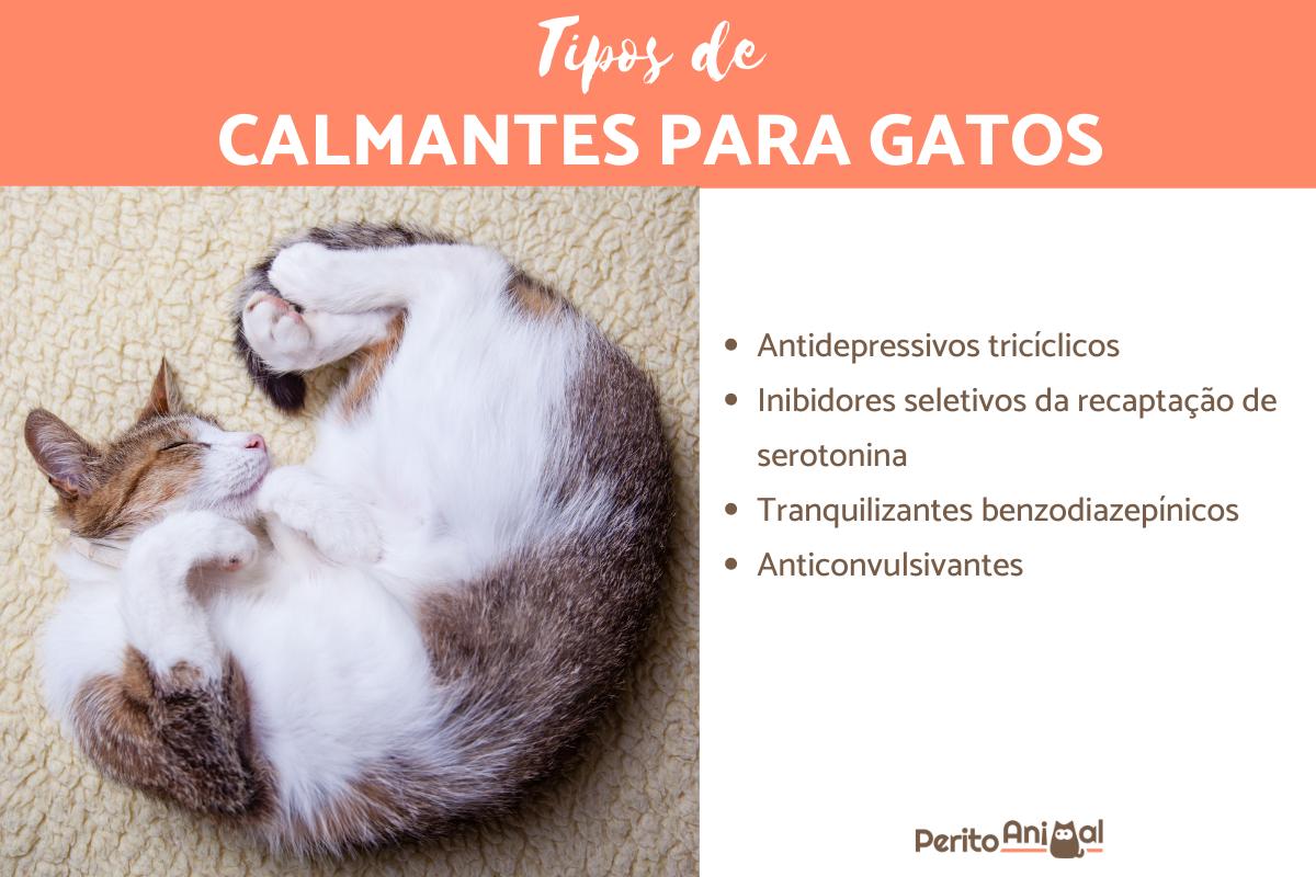 Calmantes para gatos