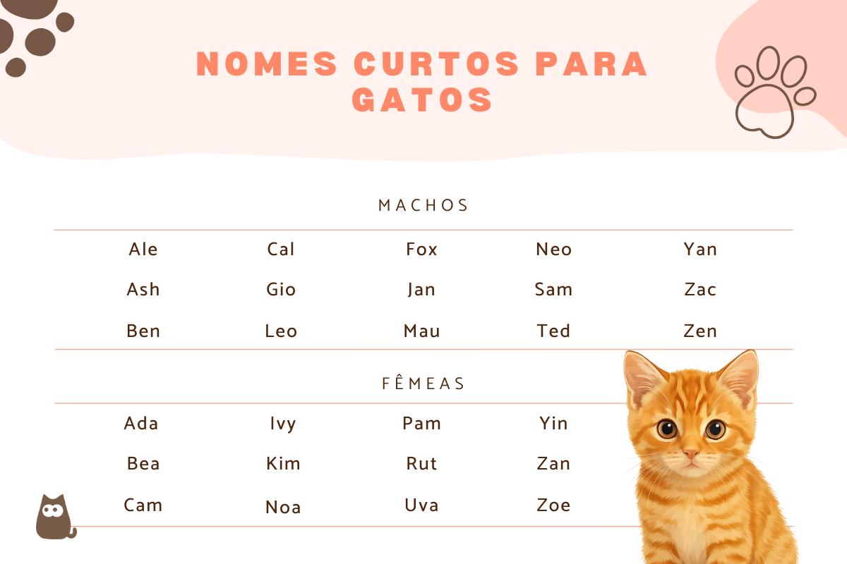 Nomes curtos para gatos