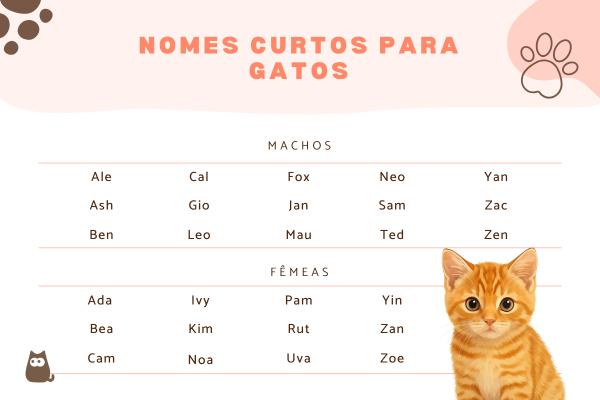 Nomes curtos para gatos