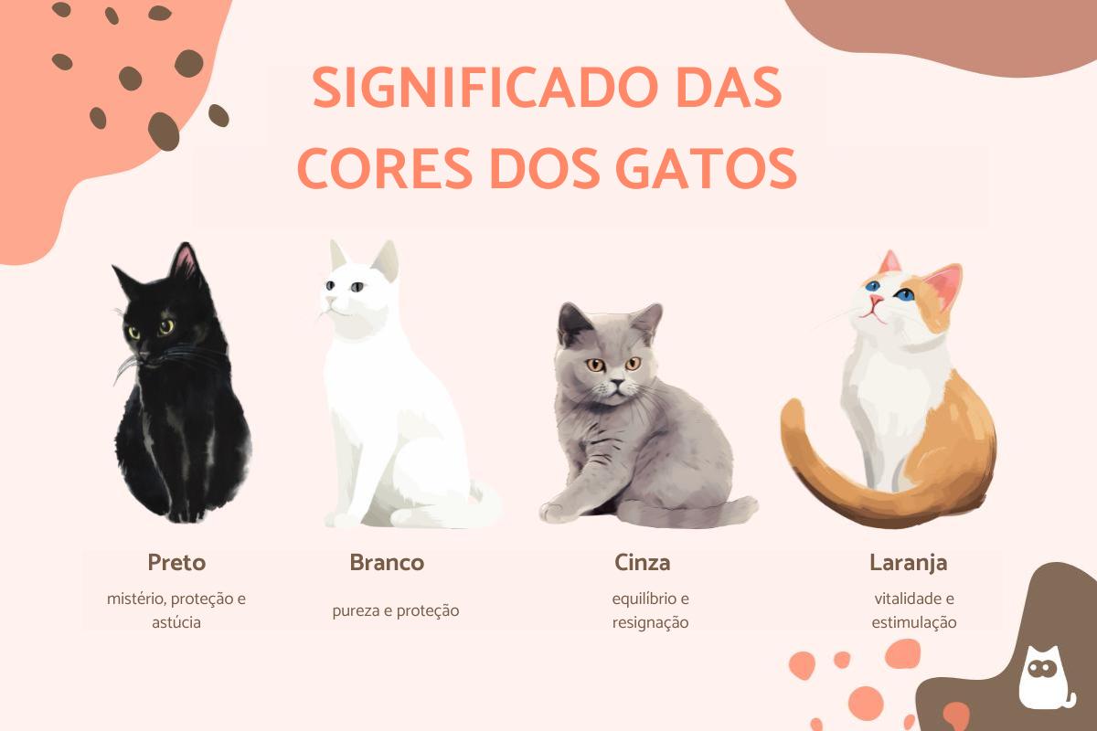 Significado das cores dos gatos
