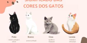 Significado das cores dos gatos