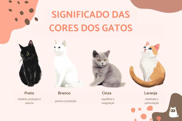 Significado das cores dos gatos