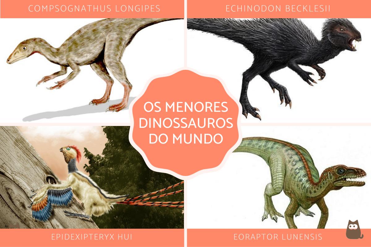 Os menores dinossauros do mundo