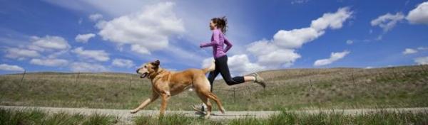 Exercício para cachorros adultos - Benefícios do exercício