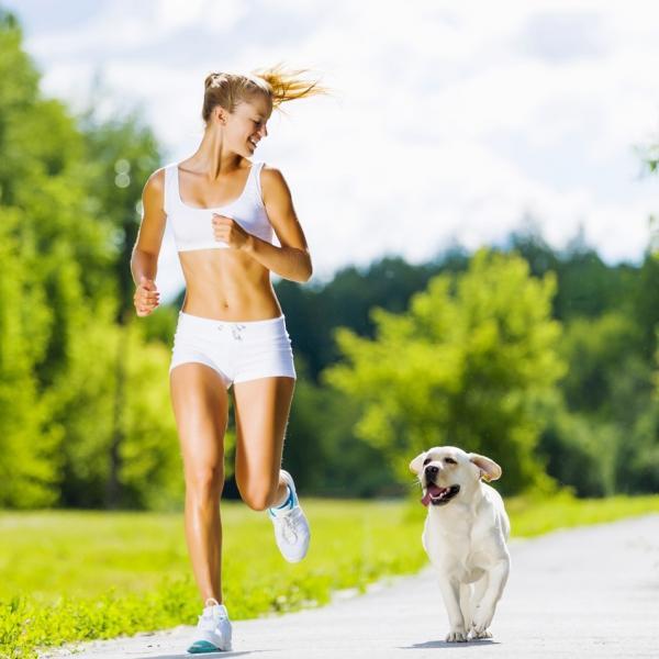 Exercício para cachorros adultos