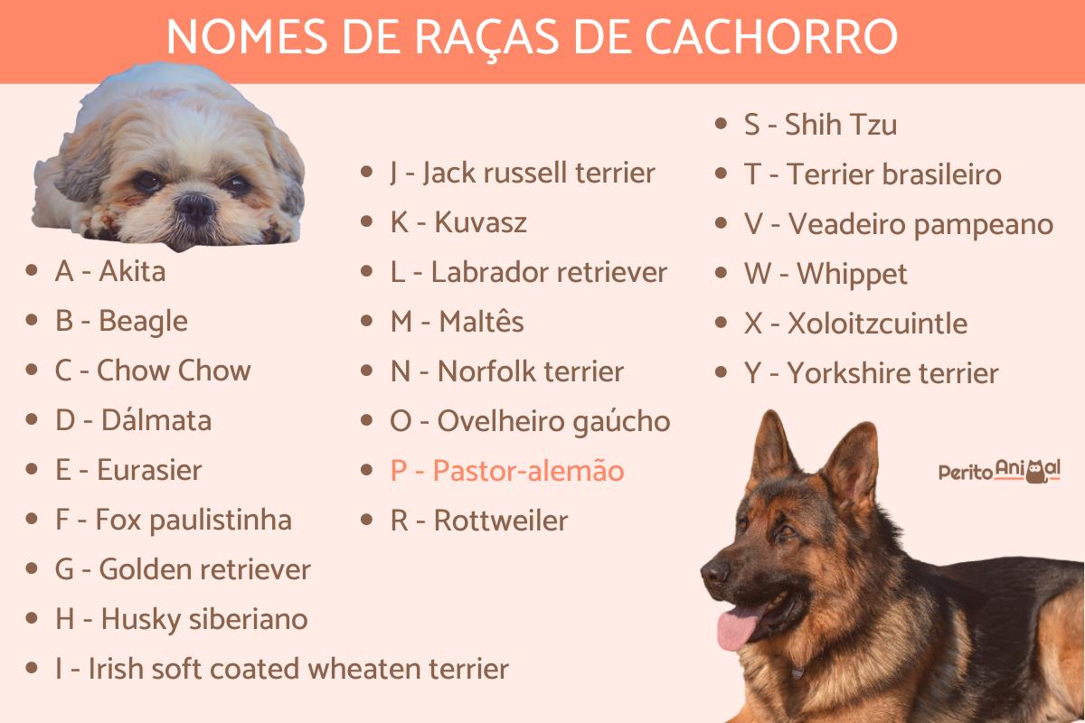 Nomes de raças de cachorro