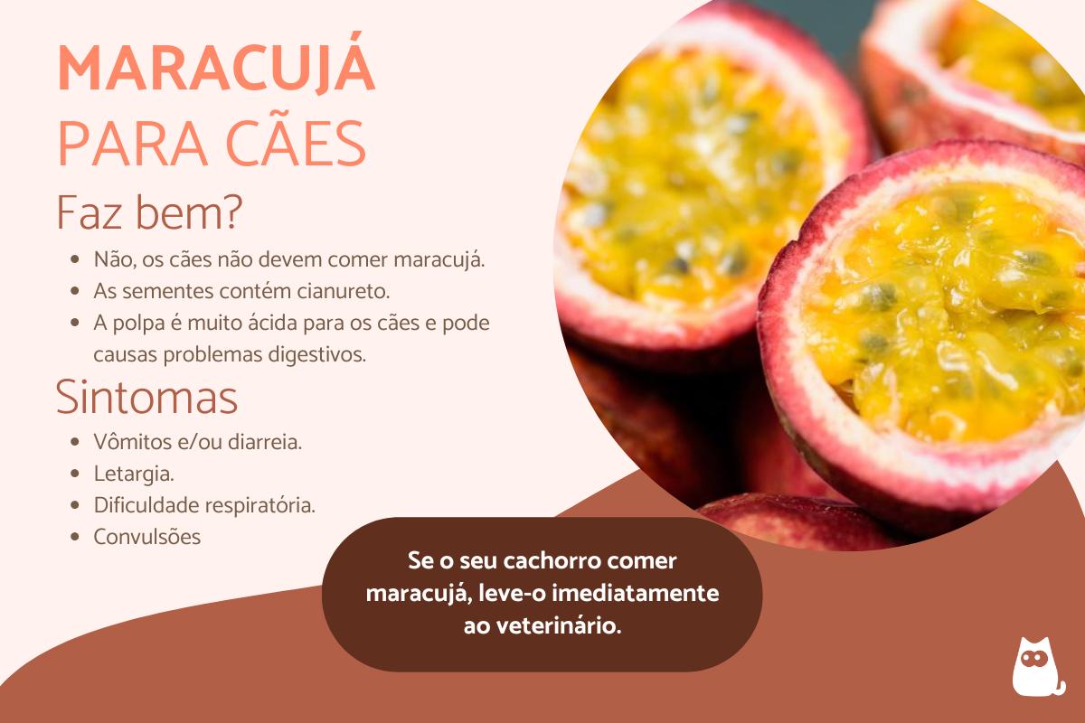 Os cachorros podem comer maracujá?