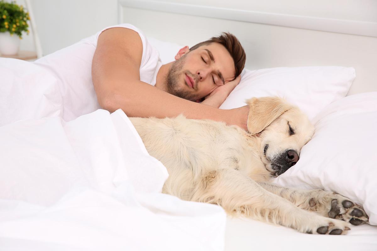 Carrapato de cachorro pega em humano?