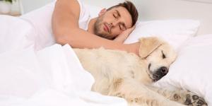 Carrapato de cachorro pega em humano?