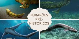 Tubarões pré-históricos - Exemplos extintos e vivos