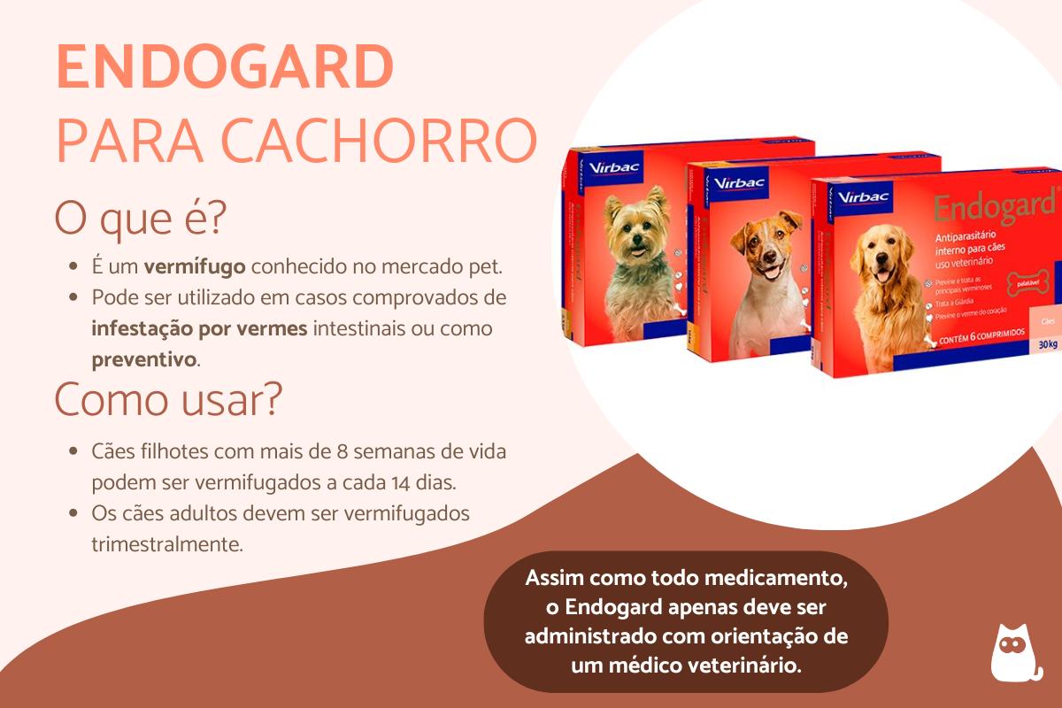 Endogard para cães: para que serve e como usar