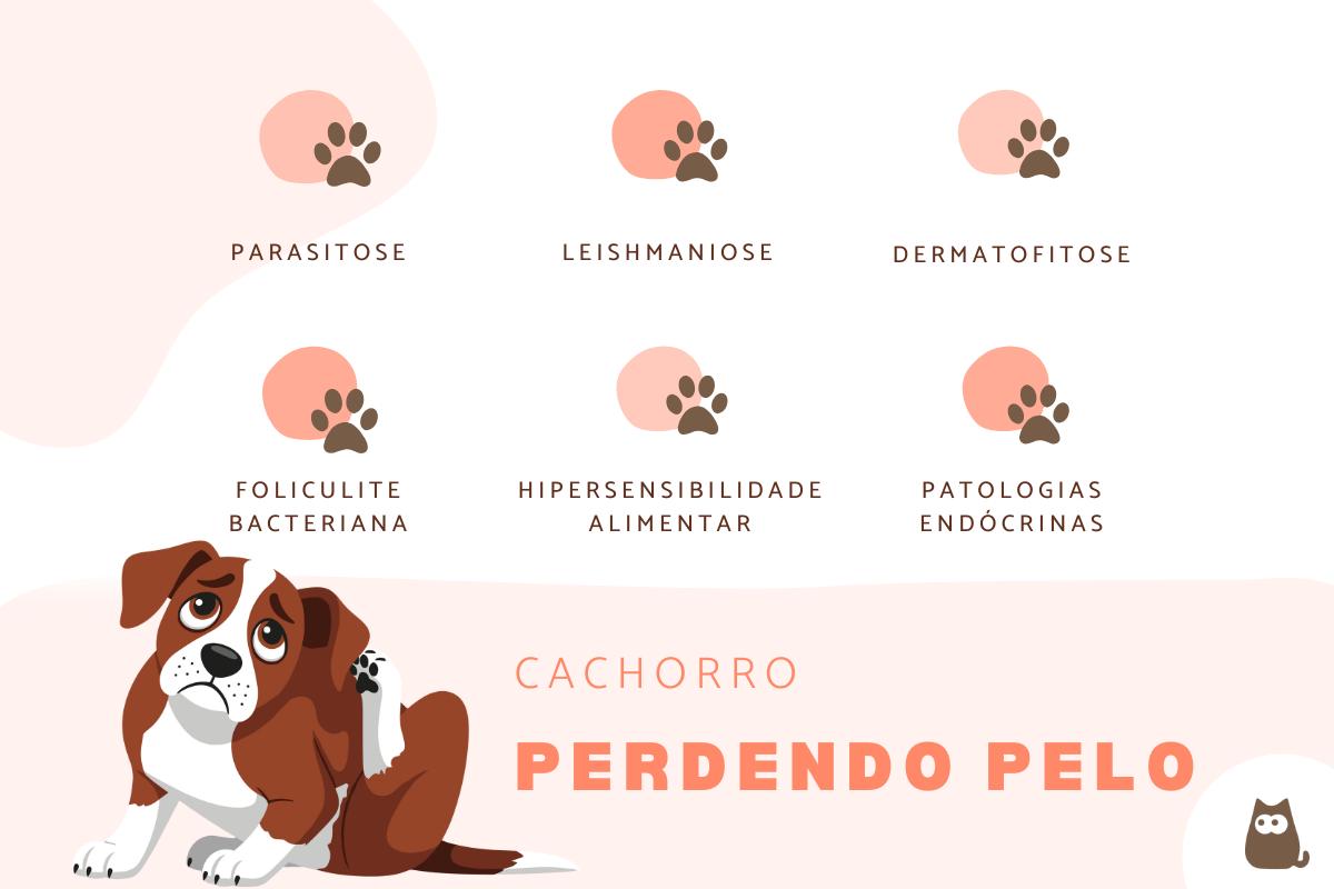 Cachorro perdendo pelo: causas e o que fazer