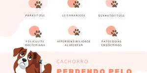 Cachorro perdendo pelo: causas e o que fazer