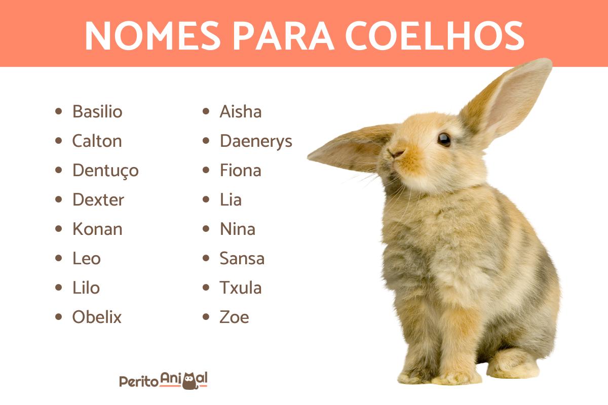 Nomes para coelhos