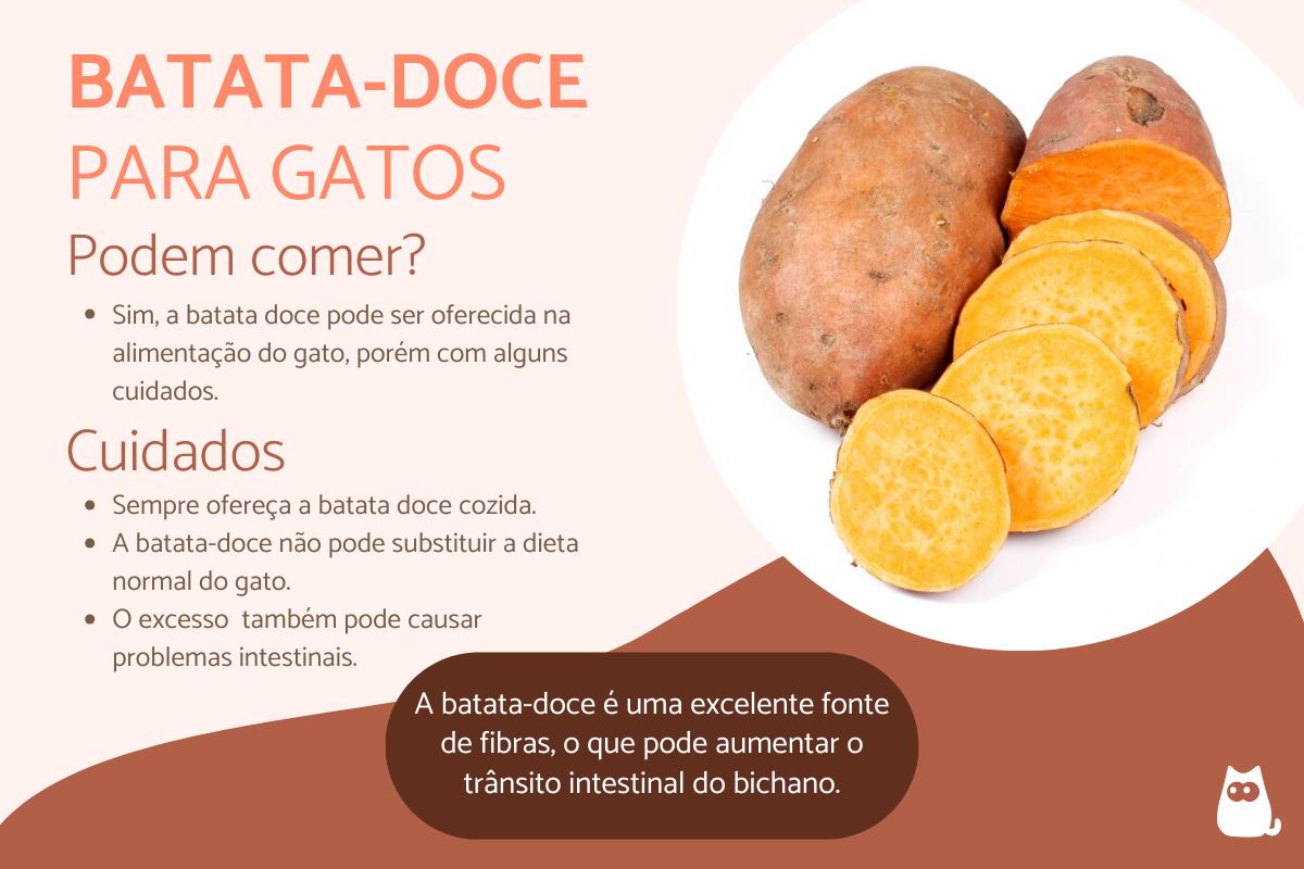 Gato pode comer batata-doce?