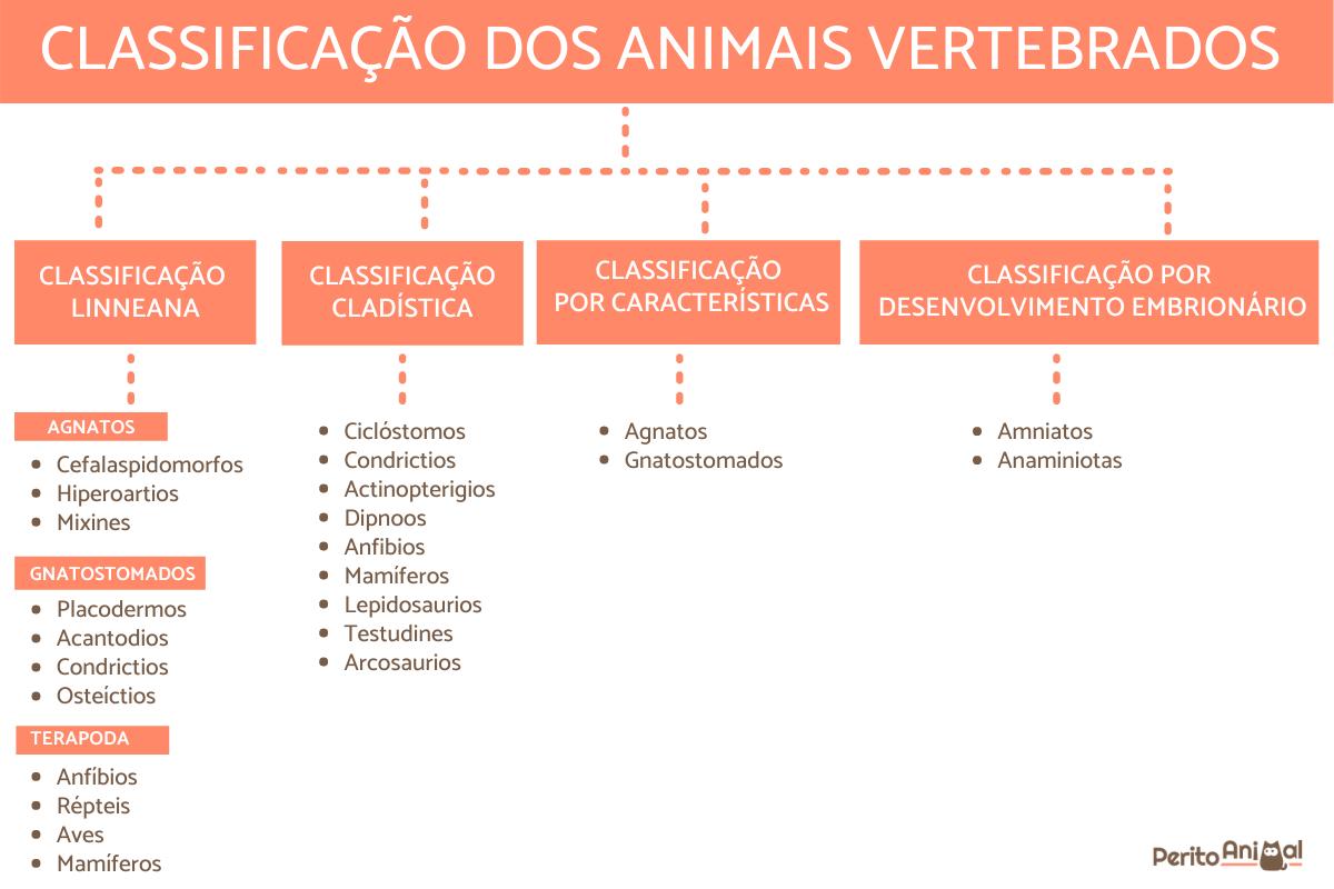 Classificação dos animais vertebrados