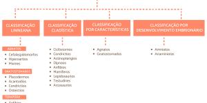 Classificação dos animais vertebrados