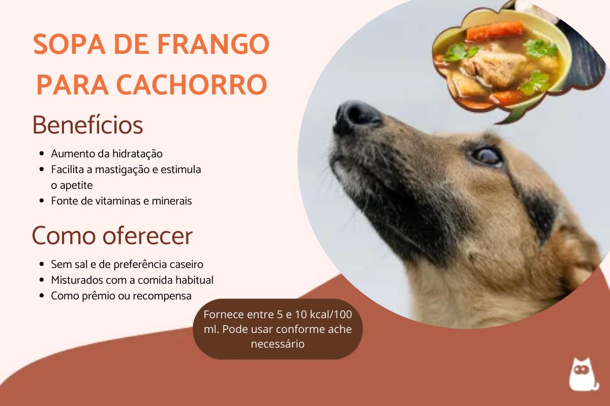Sopa de frango é bom para cachorros?