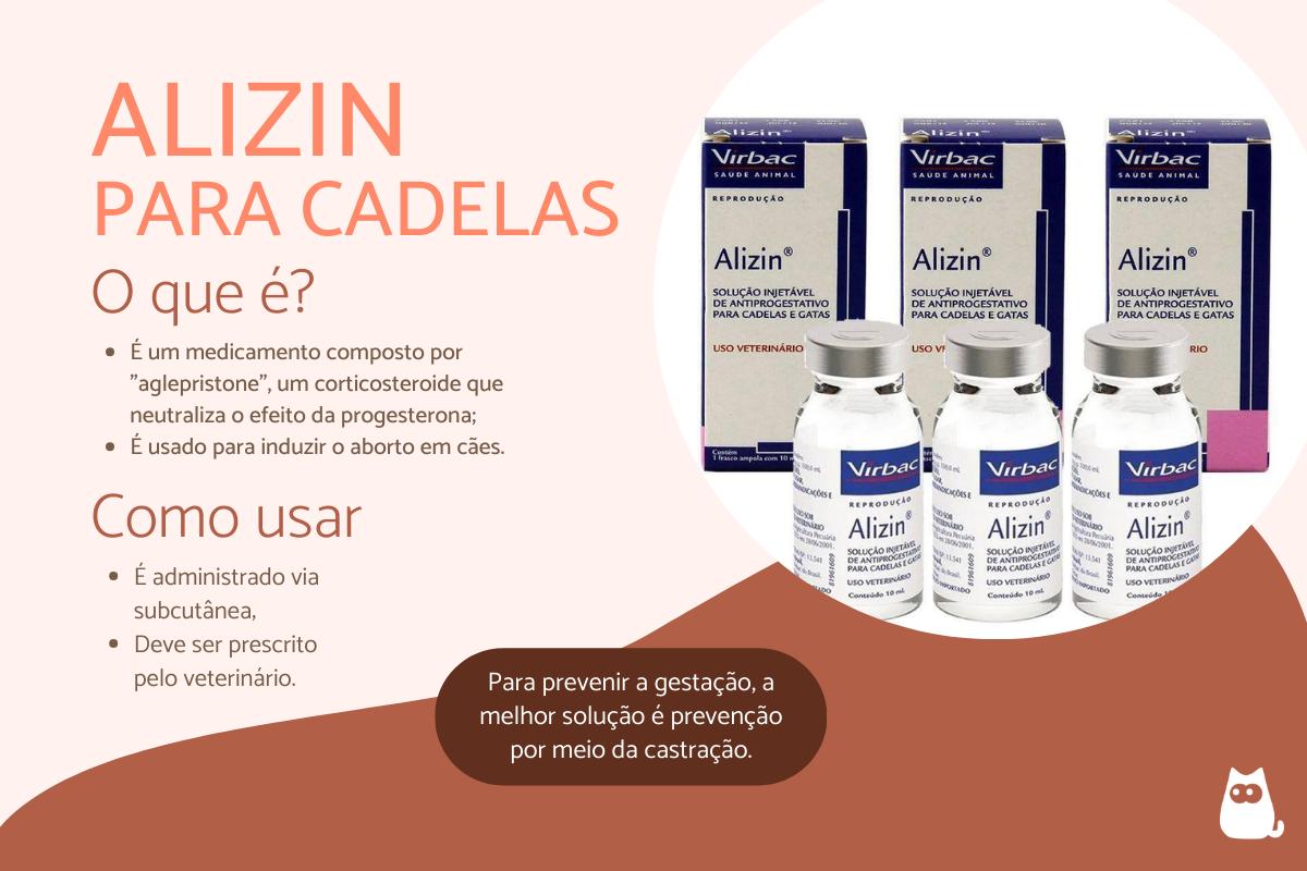 Alizin para cães – Para que serve e efeitos colaterais