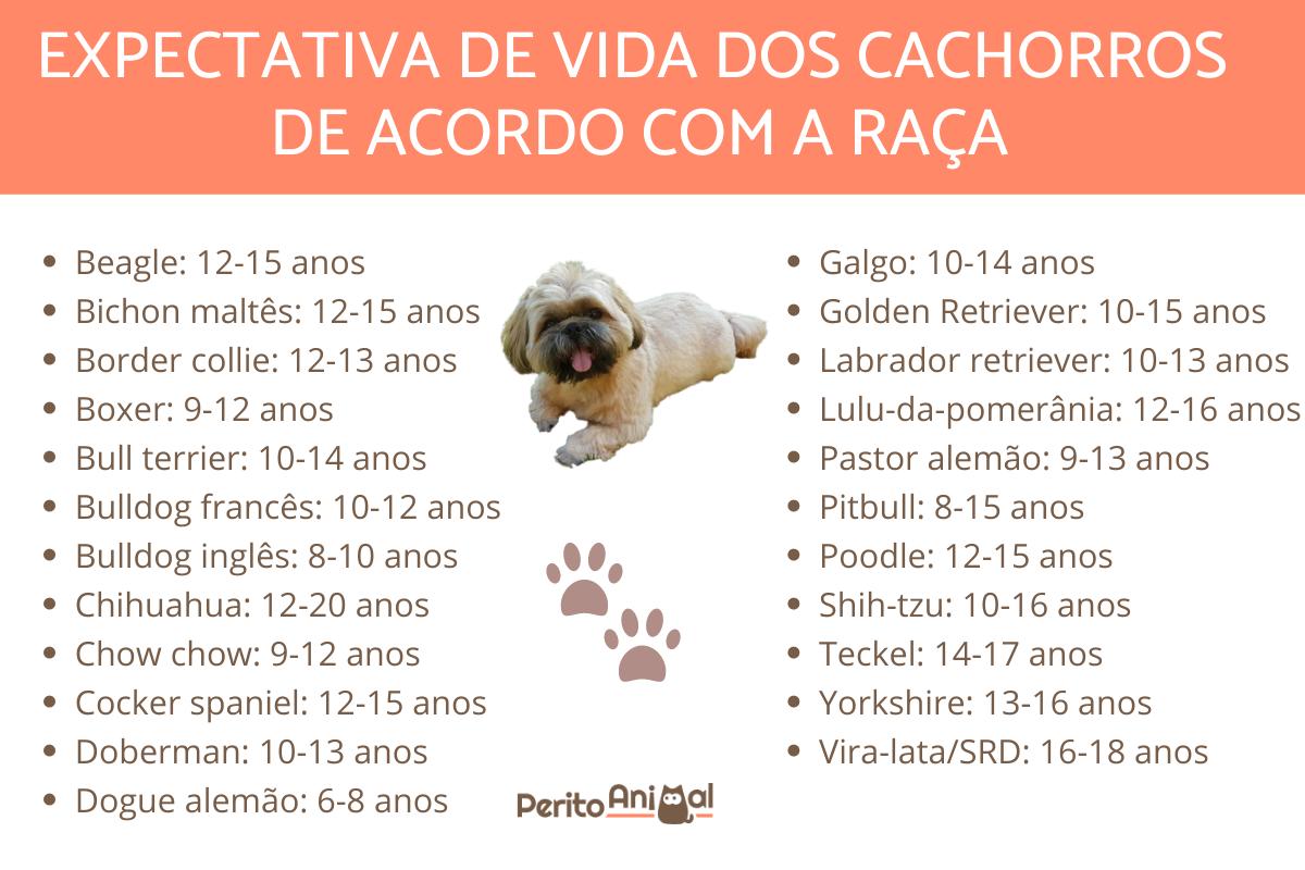 Quantos anos vive um cachorro?